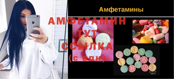 стафф Алексин