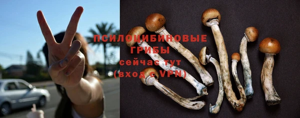 стафф Алексин