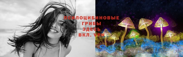 а пвп мука Алзамай