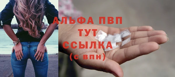 стафф Алексин